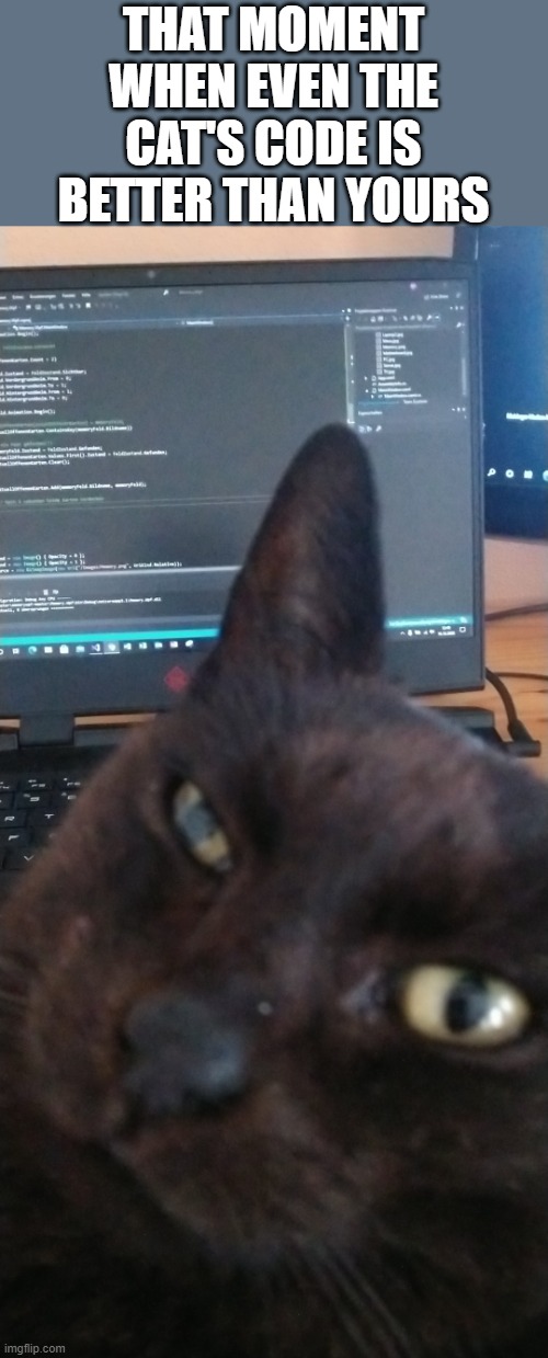 Programming Cat | THAT MOMENT WHEN EVEN THE CAT'S CODE IS BETTER THAN YOURS | image tagged in cats,cat,programming,code,coding,cute cat | made w/ Imgflip meme maker