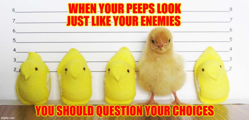 Line Up |  WHEN YOUR PEEPS LOOK JUST LIKE YOUR ENEMIES; YOU SHOULD QUESTION YOUR CHOICES | image tagged in peeps in line up,memes,funny,funny memes,seriously | made w/ Imgflip meme maker
