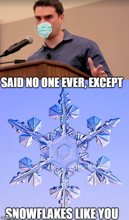 SAID NO ONE EVER, EXCEPT SNOWFLAKES LIKE YOU | image tagged in in the name,special snowflake | made w/ Imgflip meme maker