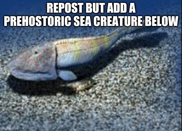 yfkgc | REPOST BUT ADD A PREHOSTORIC SEA CREATURE BELOW | image tagged in hemicyclaspis | made w/ Imgflip meme maker