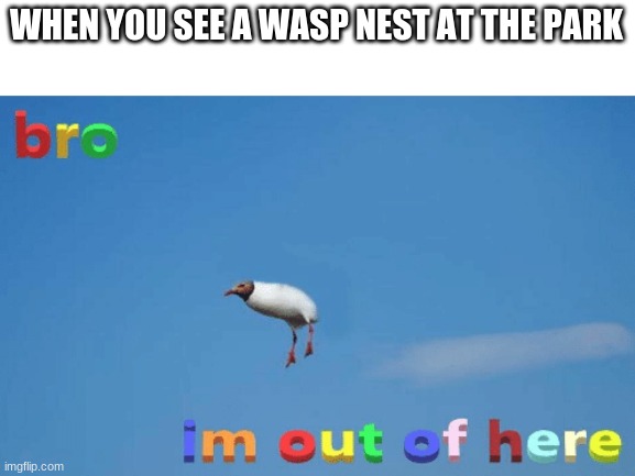 bro im out of here | WHEN YOU SEE A WASP NEST AT THE PARK | image tagged in bro im out of here | made w/ Imgflip meme maker