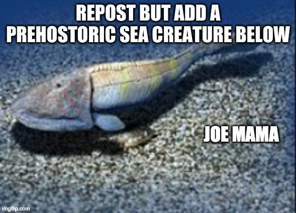 JOE MAMA | made w/ Imgflip meme maker