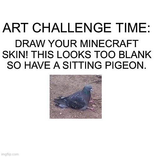 Have fun with it! | ART CHALLENGE TIME:; DRAW YOUR MINECRAFT SKIN! THIS LOOKS TOO BLANK SO HAVE A SITTING PIGEON. | image tagged in memes,blank transparent square,art challenges,minecraft | made w/ Imgflip meme maker