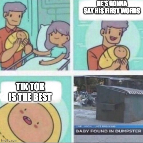 Baby Found in Dumpster | HE'S GONNA SAY HIS FIRST WORDS; TIK TOK IS THE BEST | image tagged in baby found in dumpster | made w/ Imgflip meme maker