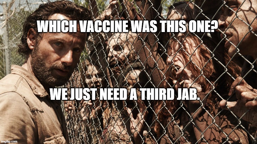 Zombie Fence | WHICH VACCINE WAS THIS ONE? WE JUST NEED A THIRD JAB. | image tagged in zombie fence | made w/ Imgflip meme maker
