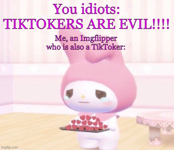 Wholesome Crying | You idiots: TIKTOKERS ARE EVIL!!!! Me, an Imgflipper who is also a TikToker: | image tagged in wholesome crying | made w/ Imgflip meme maker