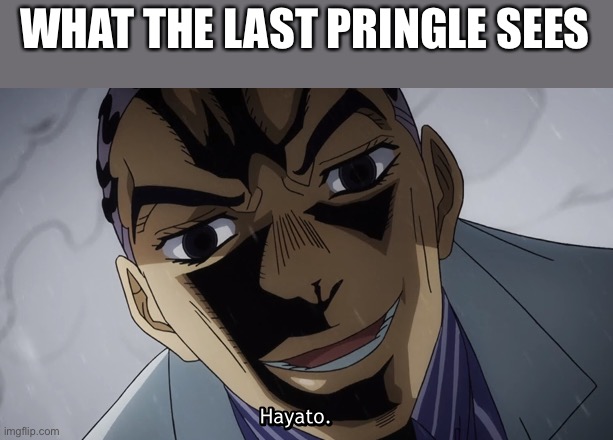 Hayato. | WHAT THE LAST PRINGLE SEES | image tagged in hayato | made w/ Imgflip meme maker