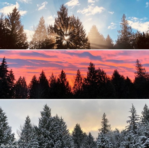 3 different pics of my bac dec | made w/ Imgflip meme maker