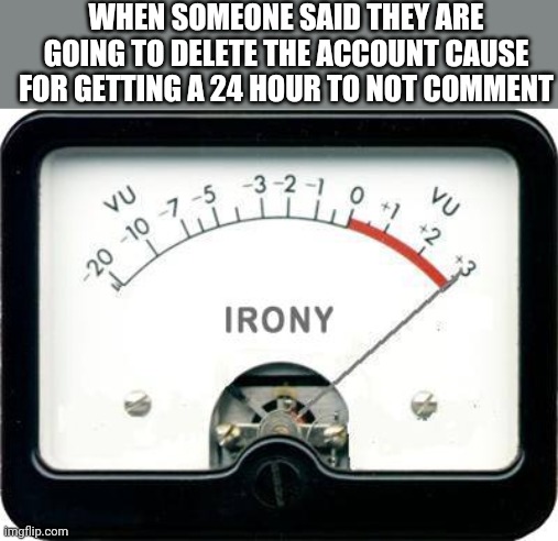 It do be true tho | WHEN SOMEONE SAID THEY ARE GOING TO DELETE THE ACCOUNT CAUSE FOR GETTING A 24 HOUR TO NOT COMMENT | image tagged in irony meter | made w/ Imgflip meme maker