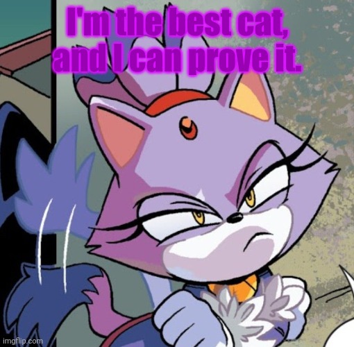 Blaze the cat | I'm the best cat, and I can prove it. | image tagged in blaze the cat | made w/ Imgflip meme maker