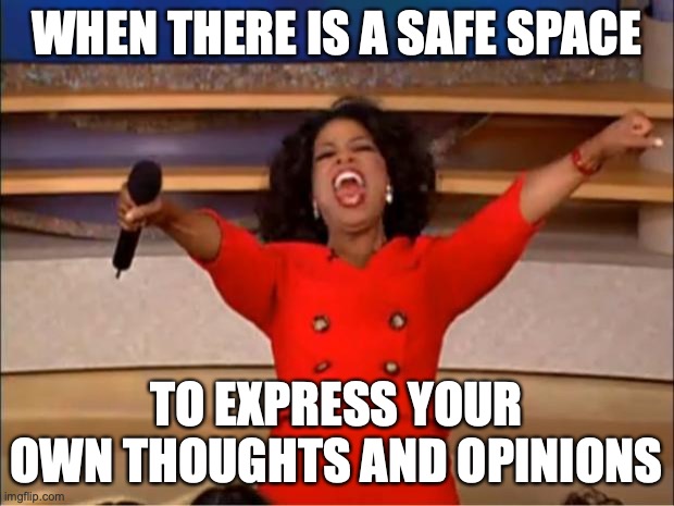 Ethics of Education | WHEN THERE IS A SAFE SPACE; TO EXPRESS YOUR OWN THOUGHTS AND OPINIONS | image tagged in memes,oprah you get a | made w/ Imgflip meme maker