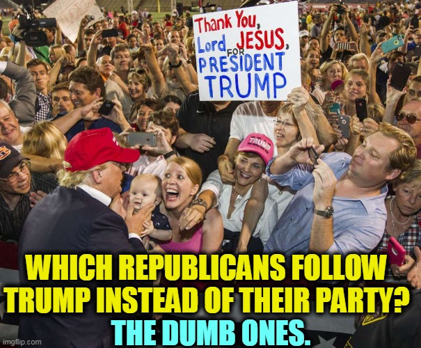 That sound you hear is the Republican Party tearing itself apart. | WHICH REPUBLICANS FOLLOW TRUMP INSTEAD OF THEIR PARTY? THE DUMB ONES. | image tagged in trump rally,republican party,loyalty,stupidity | made w/ Imgflip meme maker
