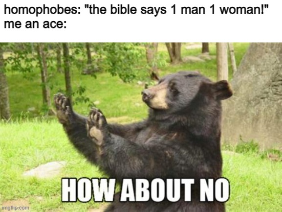 0 men 0 women | homophobes: "the bible says 1 man 1 woman!"
me an ace: | image tagged in memes,how about no bear | made w/ Imgflip meme maker