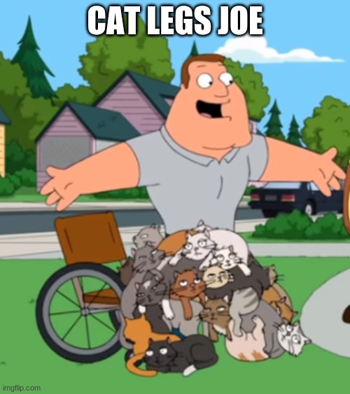 CAT LEGS JOE | made w/ Imgflip meme maker