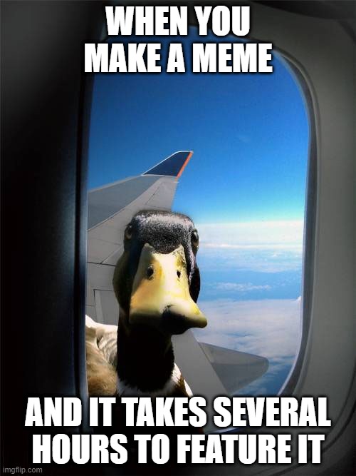 Hello There! | WHEN YOU MAKE A MEME; AND IT TAKES SEVERAL HOURS TO FEATURE IT | image tagged in duck plane window,memes,funny,hilarious,duck | made w/ Imgflip meme maker