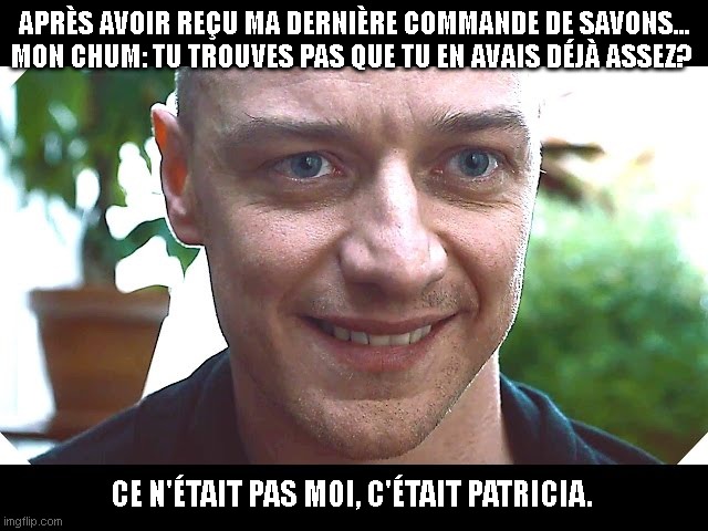 meme de patricia | APRÈS AVOIR REÇU MA DERNIÈRE COMMANDE DE SAVONS...
MON CHUM: TU TROUVES PAS QUE TU EN AVAIS DÉJÀ ASSEZ? CE N'ÉTAIT PAS MOI, C'ÉTAIT PATRICIA. | image tagged in meme de patricia | made w/ Imgflip meme maker