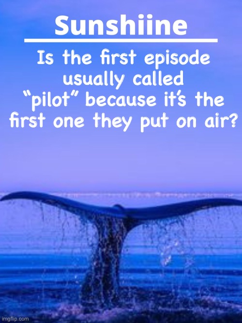 Is the first episode usually called “pilot” because it’s the first one they put on air? | made w/ Imgflip meme maker