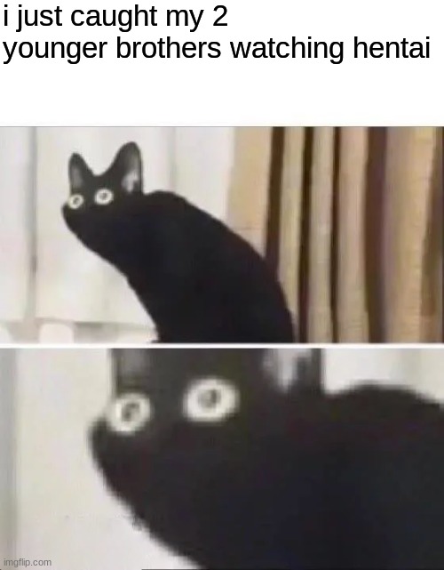 Oh No Black Cat | i just caught my 2 younger brothers watching hentai | image tagged in oh no black cat | made w/ Imgflip meme maker