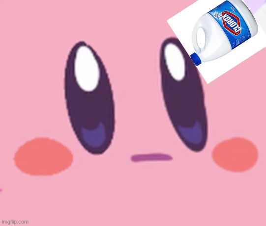Blank Kirby Face | image tagged in blank kirby face | made w/ Imgflip meme maker