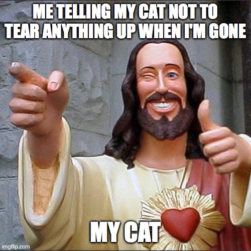 Buddy Christ Meme | ME TELLING MY CAT NOT TO TEAR ANYTHING UP WHEN I'M GONE; MY CAT | image tagged in memes,buddy christ | made w/ Imgflip meme maker