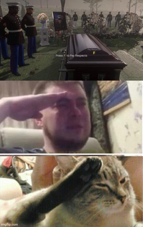 image tagged in press f to pay respects,crying salute,cat of honor | made w/ Imgflip meme maker