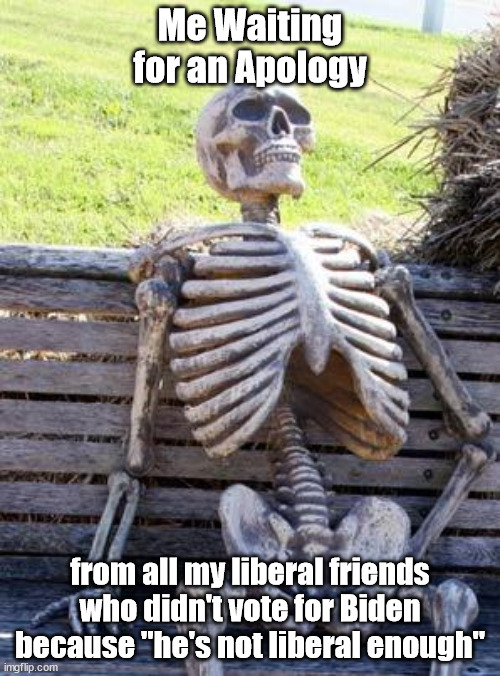 Biden Apology | Me Waiting for an Apology; from all my liberal friends who didn't vote for Biden because "he's not liberal enough" | image tagged in memes,waiting skeleton | made w/ Imgflip meme maker
