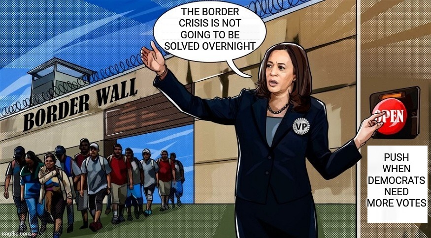 Kameltoe & Mexico | THE BORDER CRISIS IS NOT GOING TO BE SOLVED OVERNIGHT; PUSH WHEN DEMOCRATS NEED MORE VOTES | image tagged in camel toe,kamala harris,secure the border,illegal immigration,unemployment | made w/ Imgflip meme maker