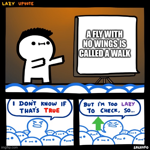 I don’t know if that’s true but I’m too lazy to check. | A FLY WITH NO WINGS IS CALLED A WALK | image tagged in i don t know if that s true but i m too lazy to check | made w/ Imgflip meme maker