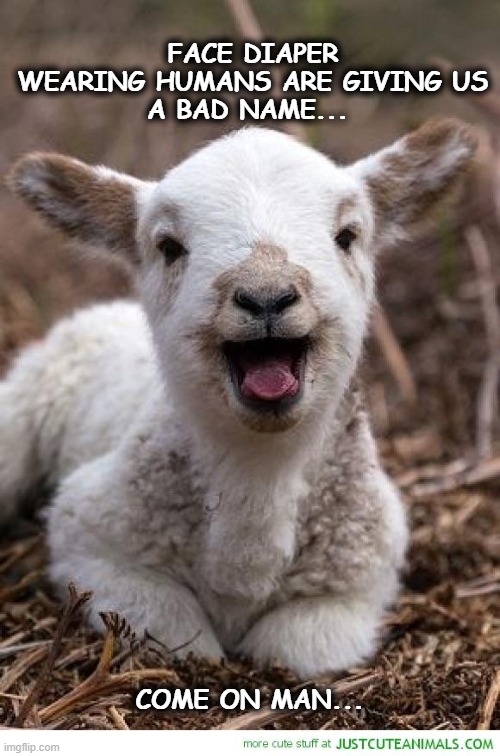 Bad Name Lamb | FACE DIAPER WEARING HUMANS ARE GIVING US
A BAD NAME... COME ON MAN... | image tagged in deep breath sheep,face,freedom,bad name,diaper | made w/ Imgflip meme maker