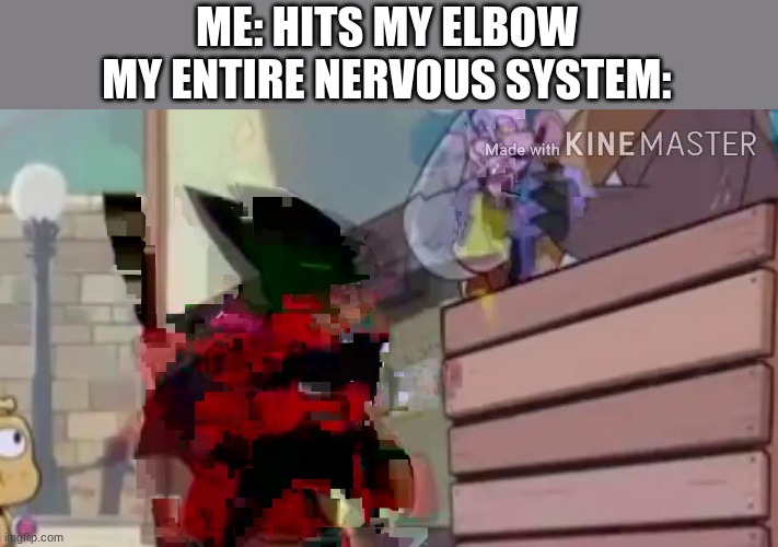 ME: HITS MY ELBOW
MY ENTIRE NERVOUS SYSTEM: | made w/ Imgflip meme maker