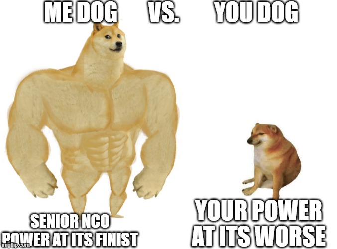 Big dog small dog | ME DOG       VS.        YOU DOG; YOUR POWER AT ITS WORSE; SENIOR NCO POWER AT ITS FINIST | image tagged in big dog small dog | made w/ Imgflip meme maker