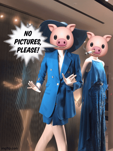 Pigsy & Edina | image tagged in fashion,window design,elie saab,piggy peloton,ab fab,brian einersen | made w/ Imgflip images-to-gif maker