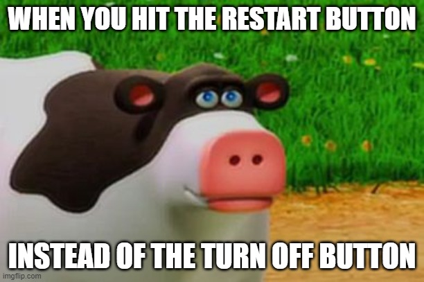 Otis the Perhaps Cow | WHEN YOU HIT THE RESTART BUTTON; INSTEAD OF THE TURN OFF BUTTON | image tagged in otis the perhaps cow | made w/ Imgflip meme maker