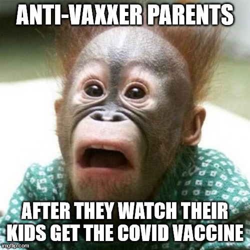 Anti-Vaxxers Be Monke Brained |  ANTI-VAXXER PARENTS; AFTER THEY WATCH THEIR KIDS GET THE COVID VACCINE | image tagged in shocked monkey | made w/ Imgflip meme maker