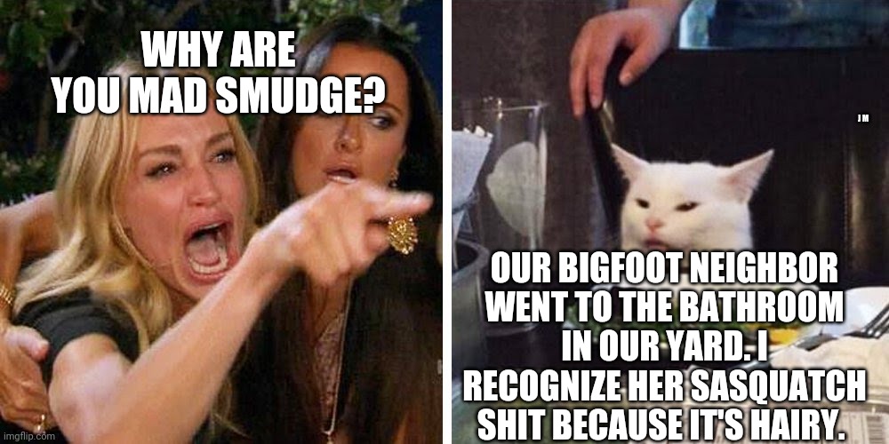 Smudge the cat | WHY ARE YOU MAD SMUDGE? J M; OUR BIGFOOT NEIGHBOR WENT TO THE BATHROOM IN OUR YARD. I RECOGNIZE HER SASQUATCH SHIT BECAUSE IT'S HAIRY. | image tagged in smudge the cat | made w/ Imgflip meme maker