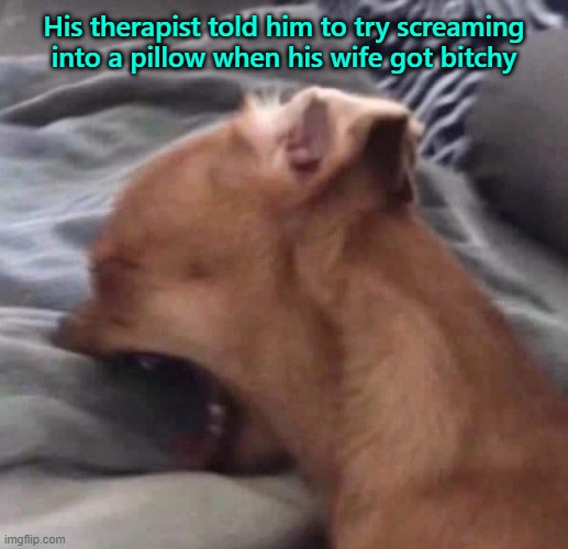 Anger Management | His therapist told him to try screaming into a pillow when his wife got bitchy | image tagged in mad dog,funny dog,angry dog | made w/ Imgflip meme maker