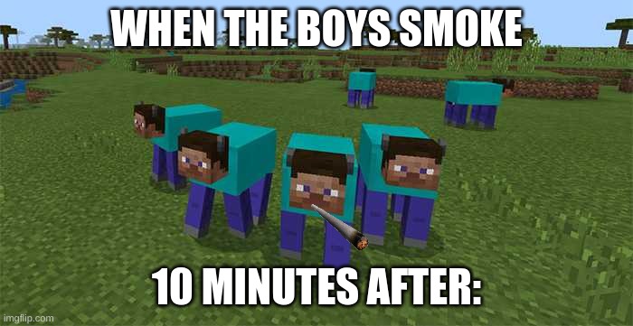 Anti/Smoking Minecraft Meme | WHEN THE BOYS SMOKE; 10 MINUTES AFTER: | image tagged in me and the boys | made w/ Imgflip meme maker