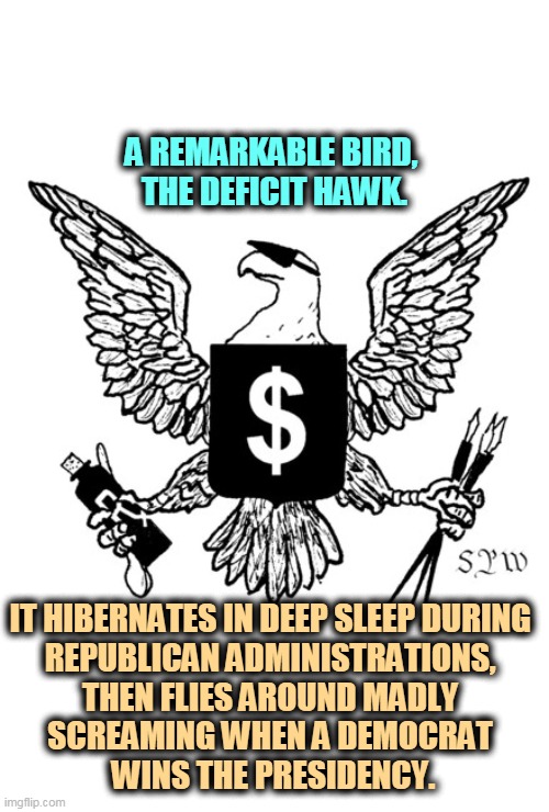 Republican hypocrisy | A REMARKABLE BIRD, 
THE DEFICIT HAWK. IT HIBERNATES IN DEEP SLEEP DURING 
REPUBLICAN ADMINISTRATIONS, 
THEN FLIES AROUND MADLY 
SCREAMING WHEN A DEMOCRAT 
WINS THE PRESIDENCY. | image tagged in conservative hypocrisy,double,talk,budget | made w/ Imgflip meme maker