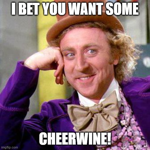 Cheerwine | I BET YOU WANT SOME; CHEERWINE! | image tagged in willy wonka blank | made w/ Imgflip meme maker