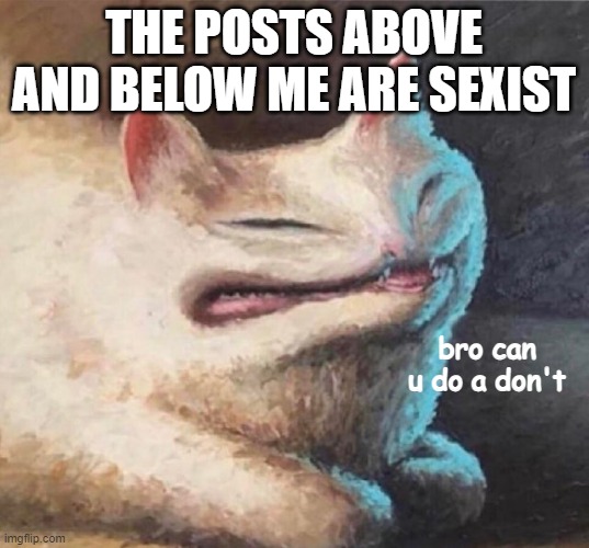 bro can u do a dont | THE POSTS ABOVE AND BELOW ME ARE SEXIST | image tagged in bro can u do a dont | made w/ Imgflip meme maker