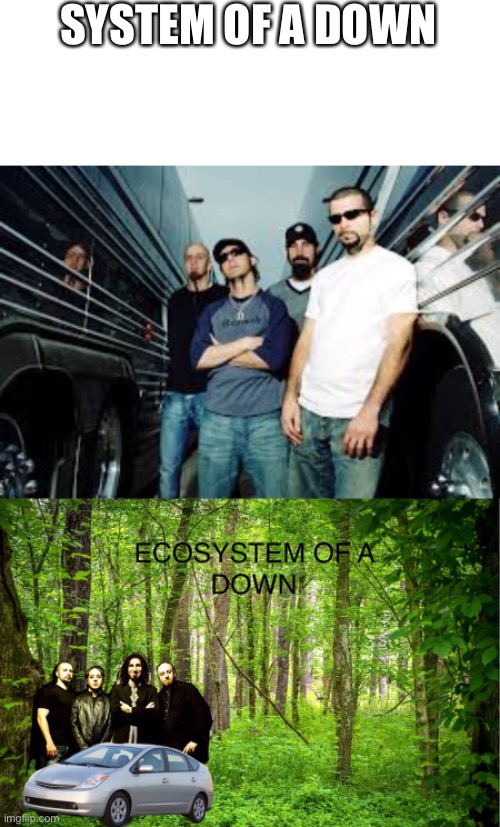 Ecosystem of a down | SYSTEM OF A DOWN | image tagged in memes | made w/ Imgflip meme maker
