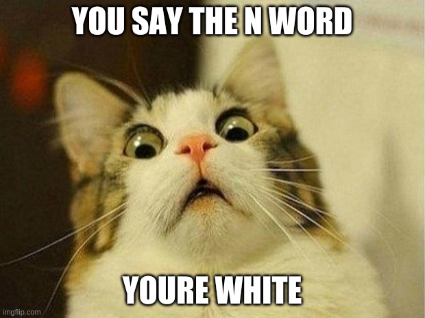 Scared Cat Meme | YOU SAY THE N WORD; YOURE WHITE | image tagged in memes,scared cat | made w/ Imgflip meme maker
