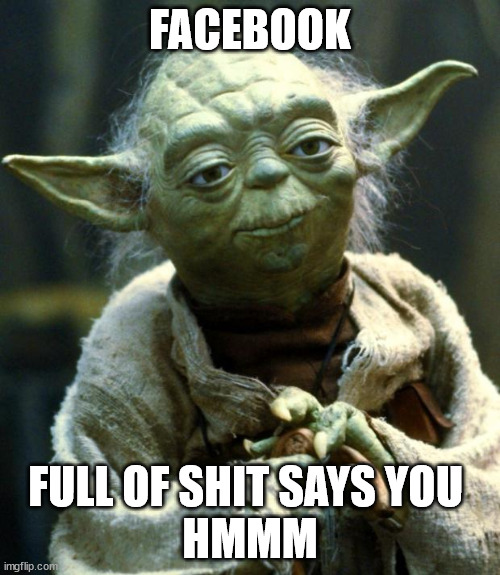 Facebook |  FACEBOOK; FULL OF SHIT SAYS YOU 
HMMM | image tagged in memes,star wars yoda | made w/ Imgflip meme maker