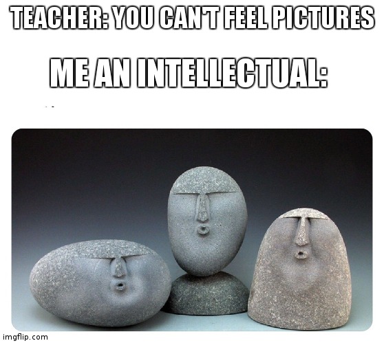 You can feel this one | TEACHER: YOU CAN'T FEEL PICTURES; ME AN INTELLECTUAL: | image tagged in oof stones | made w/ Imgflip meme maker