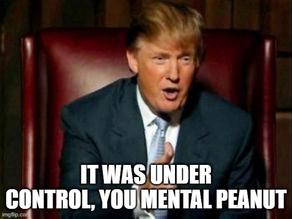 Donald Trump | IT WAS UNDER CONTROL, YOU MENTAL PEANUT | image tagged in donald trump | made w/ Imgflip meme maker