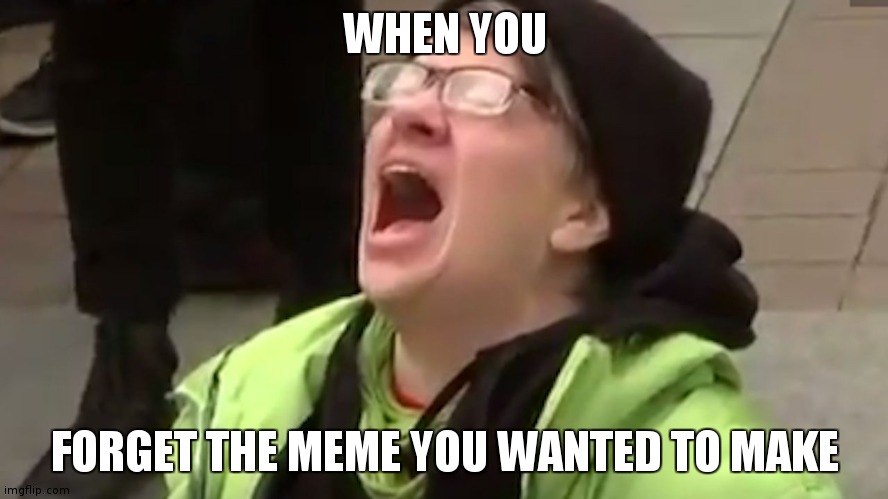 I hate it when this happens | WHEN YOU; FORGET THE MEME YOU WANTED TO MAKE | image tagged in screaming liberal | made w/ Imgflip meme maker
