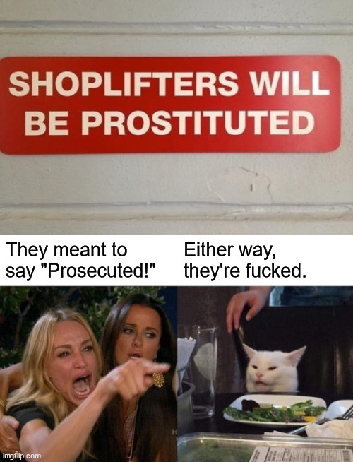Cat lady arguement | They meant to say "Prosecuted!"; Either way, they're fucked. | image tagged in memes,woman yelling at cat | made w/ Imgflip meme maker
