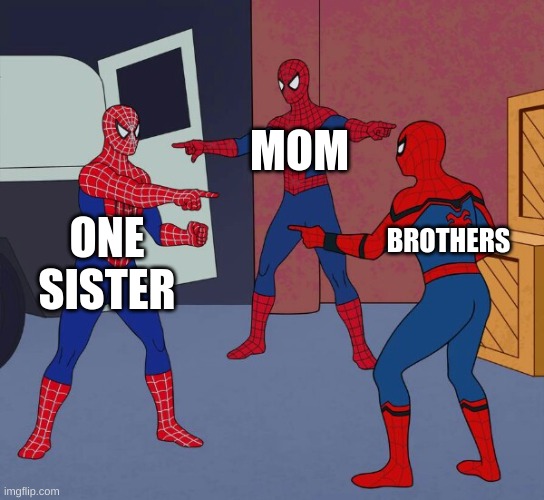 Arguments be like |  MOM; BROTHERS; ONE SISTER | image tagged in spider man triple | made w/ Imgflip meme maker