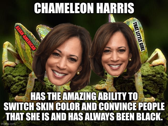 Chameleon Harris | CHAMELEON HARRIS; ASIAN-AMERICAN; THAT LITTLE GIRL; HAS THE AMAZING ABILITY TO SWITCH SKIN COLOR AND CONVINCE PEOPLE THAT SHE IS AND HAS ALWAYS BEEN BLACK. | image tagged in chameleons,kamala harris,asian,black,racist,fake | made w/ Imgflip meme maker