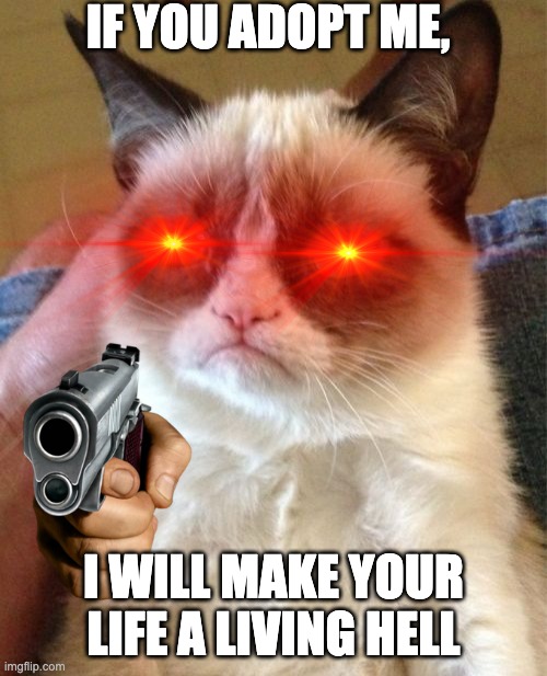 Grumpy Cat | IF YOU ADOPT ME, I WILL MAKE YOUR LIFE A LIVING HELL | image tagged in memes,grumpy cat | made w/ Imgflip meme maker